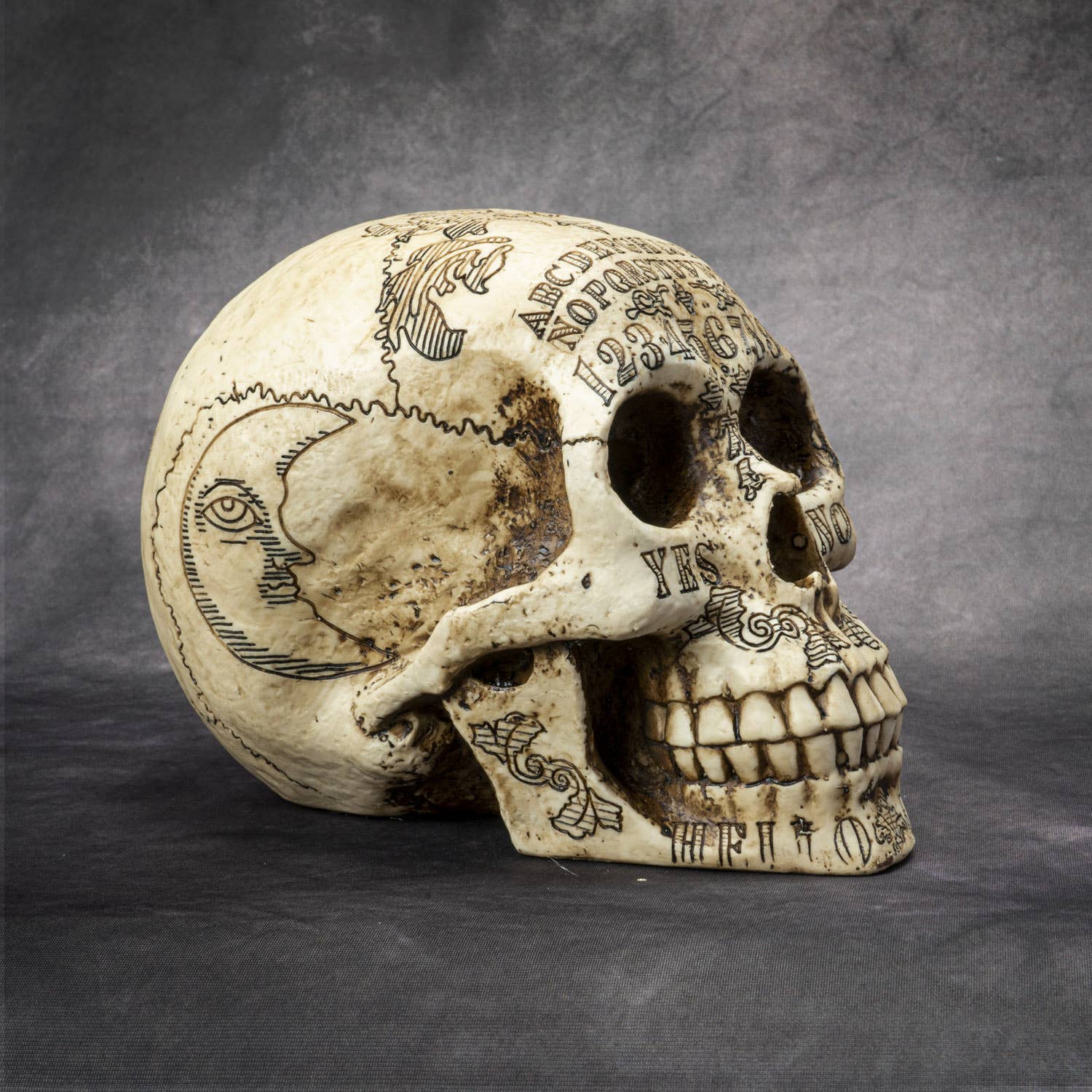 Ouija Spirit Skull Head - Image 4